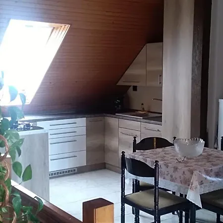 Balazs Guest house *