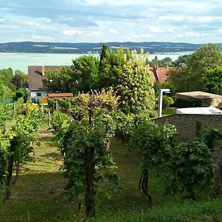 Balazs Guest house